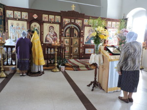 DSCN7817