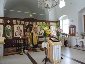 DSCN7848